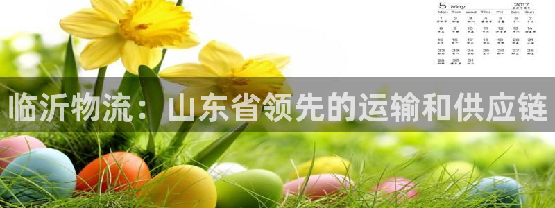 28圈加拿大pc预测：临沂物流：山东