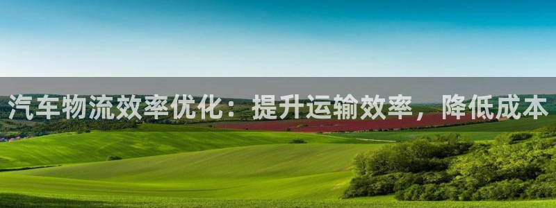 28圈黑款：汽车物流效率优化：提升运