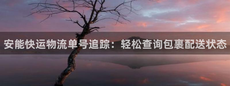 28圈是什么是赌博吗?：安能快运物流