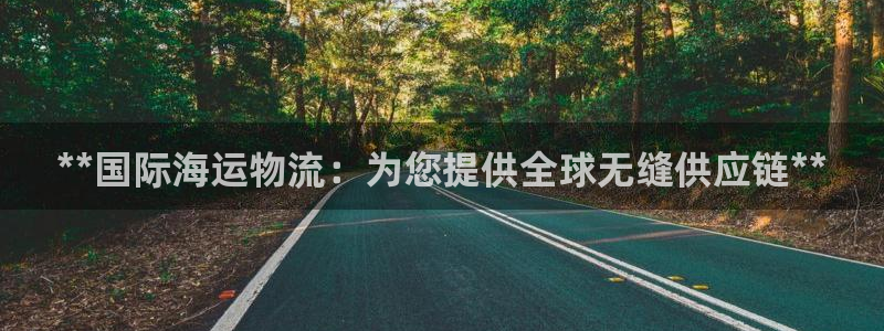 28圈充值：**国际海运物流：为您提