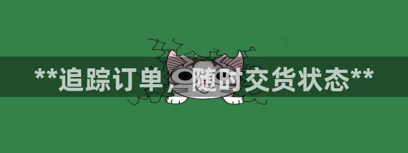 28圈充值不处理怎么办：**追踪订单