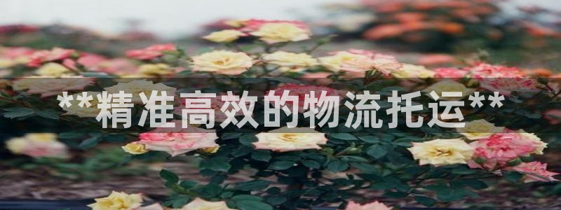 28圈登录流程：**精准高效的物流托