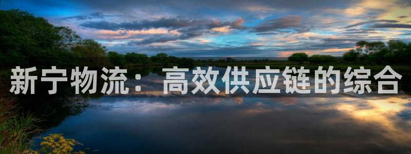 28圈软件：新宁物流：高效供应链的综