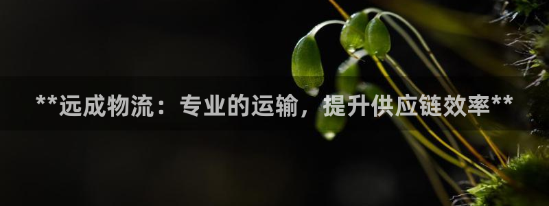 28圈新用户怎么注册：**远成物流：