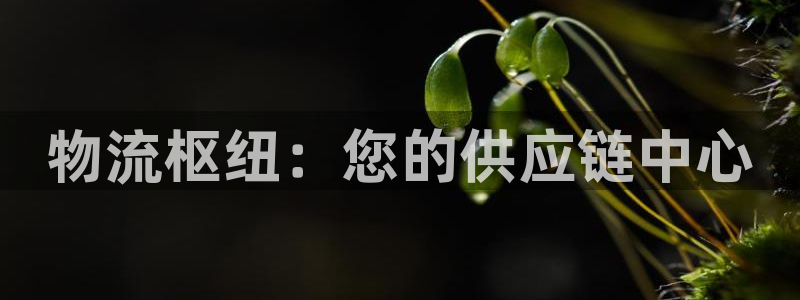 28圈软件是什么：物流枢纽：您的供应