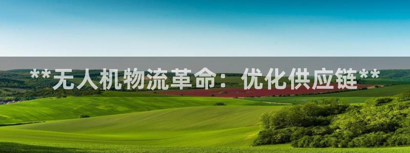 28圈注册流程：**无人机物流革命：