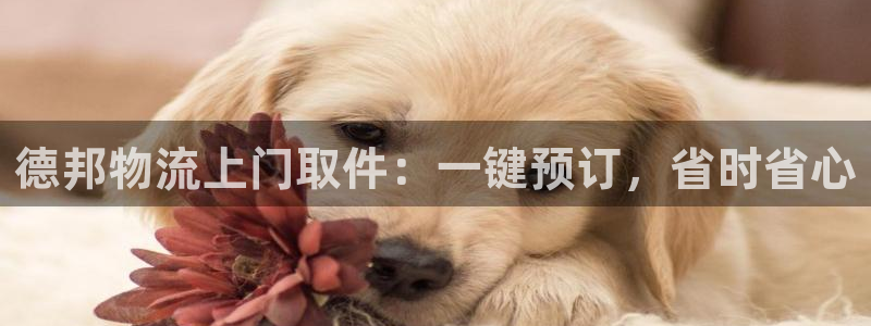 28圈注册限制怎么解除：德邦物流上门