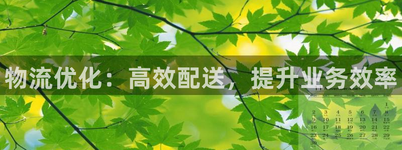 28圈体育下载：物流优化：高效配送，