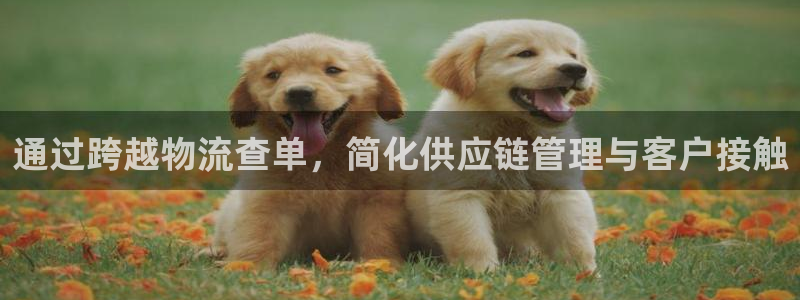 28圈app怎么注册账号：通过跨越物