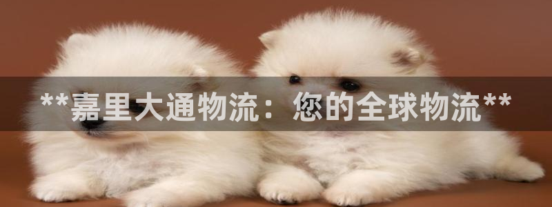 28圈如何看计划：**嘉里大通物流：