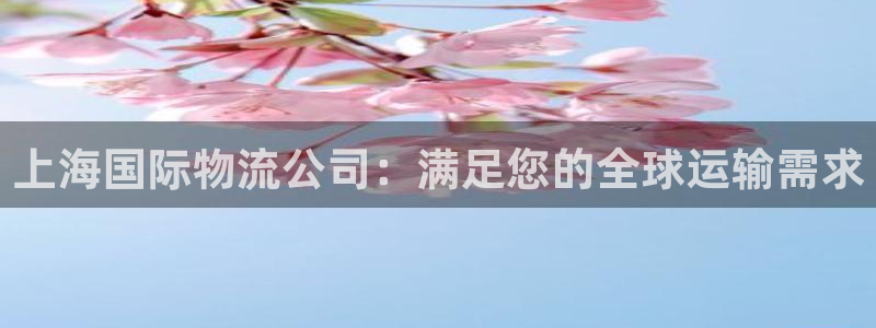 28圈农业银行是狗卡吗：上海国际物流