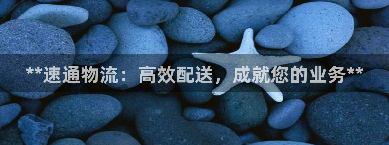 28圈游戏官网平台：**速通物流：高