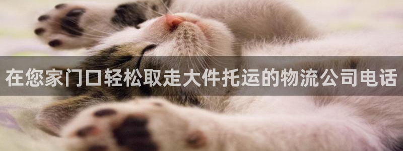 28圈玩法：在您家门口轻松取走大件托