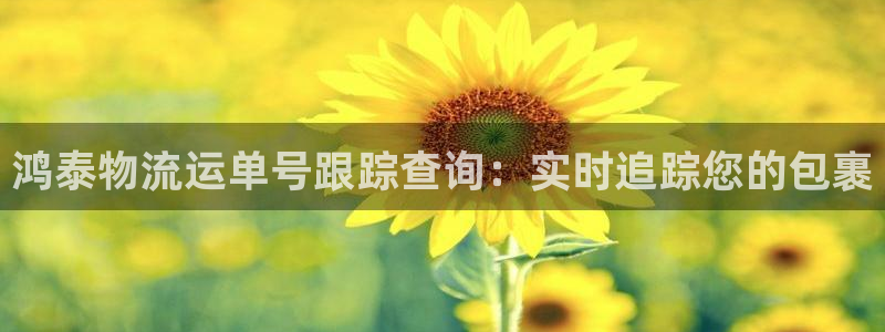 28圈官方：鸿泰物流运单号跟踪查询：