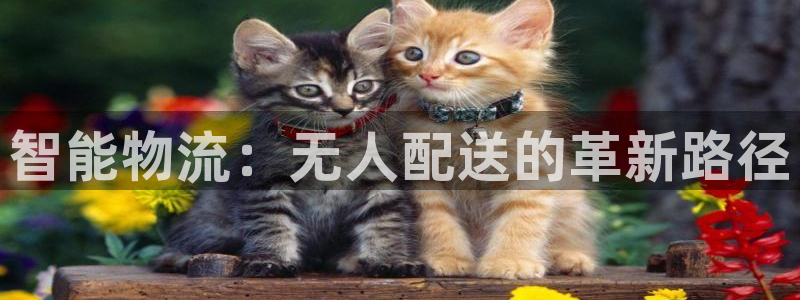 28圈游戏官网入口：智能物流：无人配