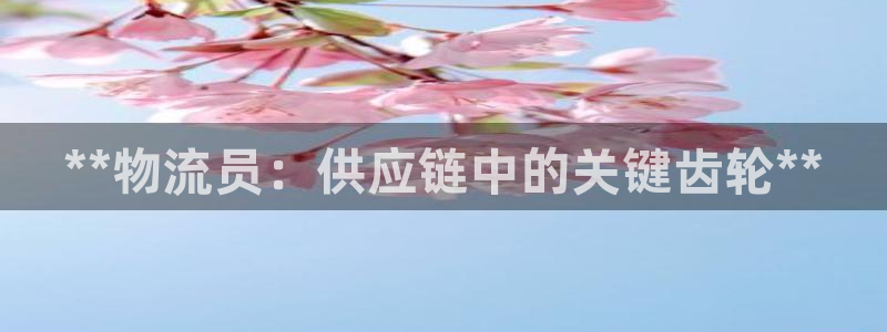 28圈aPP退款：**物流员：供应链