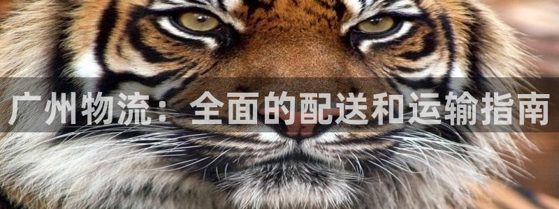 28圈.ccmpc29官网版下载：广