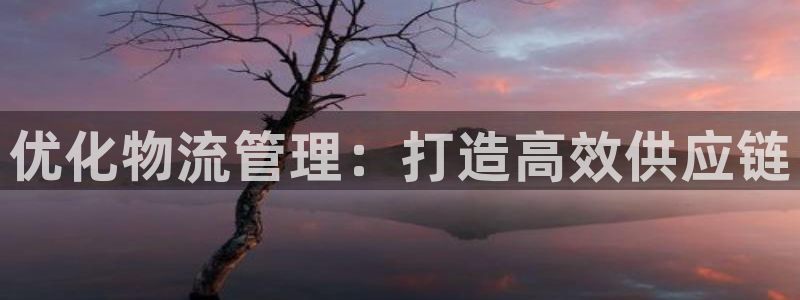 28圈违法吗：优化物流管理：打造高效