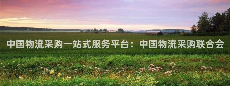 28圈连输10天：中国物流采购一站式