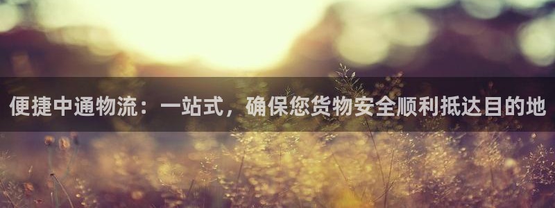 28圈网站平台是多少：便捷中通物流：