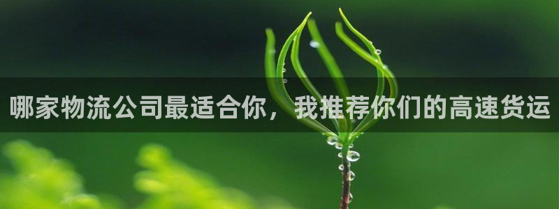 自行车28圈是什么意思：哪家物流公司