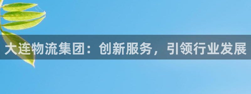 南宫28圈官网版：大连物流集团：创新