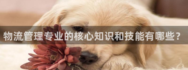28圈体育下载：物流管理专业的核心知