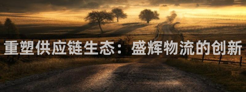 28圈现在狂杀：重塑供应链生态：盛辉