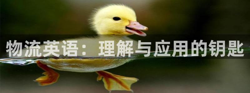 28圈加拿大真假怎么看