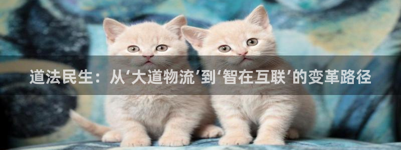 28圈怎么申请代理：道法民生：从‘大