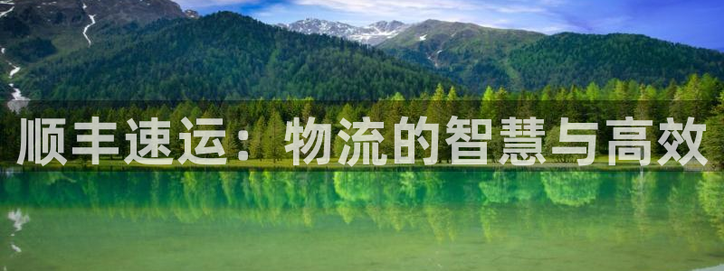 28圈绿骨头：顺丰速运：物流的智慧与高效