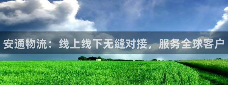 28圈.ccm：安通物流：线上线下无