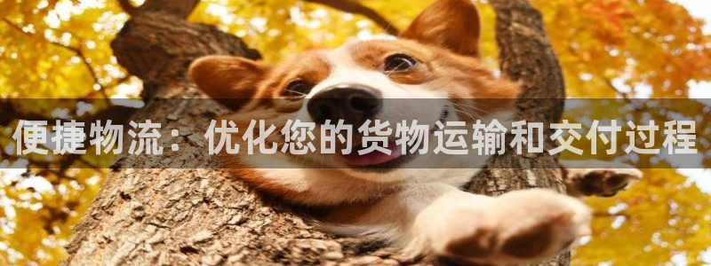 28圈.ccm2024：便捷物流：优