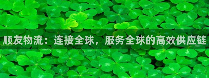 28圈注册登录链接：顺友物流：连接全