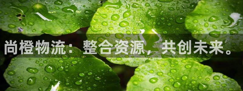 28圈分分28输了能不能退：尚橙物流