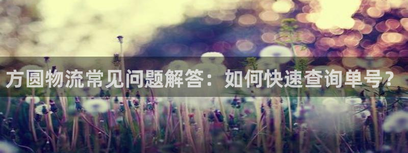 28圈下载链接是多少：方圆物流常见问题解答：如何快速查询单号