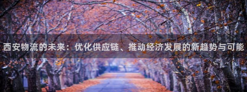 28圈网站平台：西安物流的未来：优化