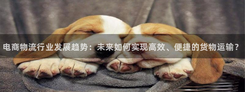 28圈登录网：电商物流行业发展趋势：