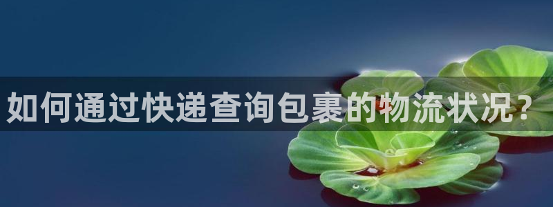 28圈那个才是充值账号：如何通过快递查询包裹的物流状况？