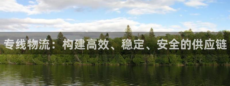 28圈注册网站链接怎么弄：专线物流：