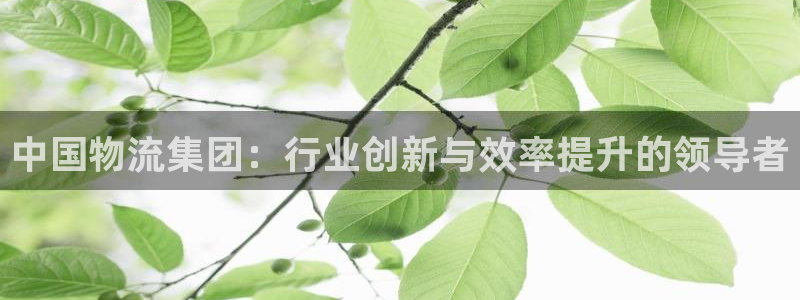 28圈注册网站加拿大：中国物流集团：