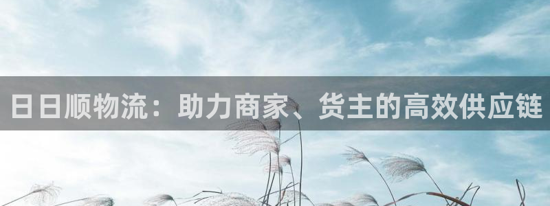 28圈相信品牌的力量：日日顺物流：助