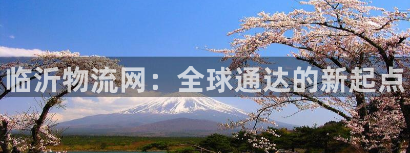 28圈.ccmpcios：临沂物流网