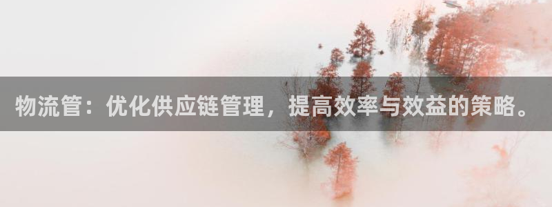28圈APP是干什么的：物流管：优化
