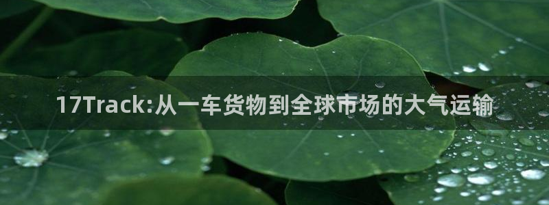 28圈注册网站谁有：17Track: