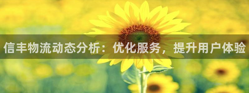 28圈提现不到账：信丰物流动态分析：