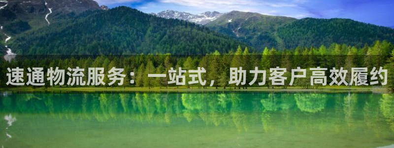 28圈加拿大：速通物流服务：一站式，