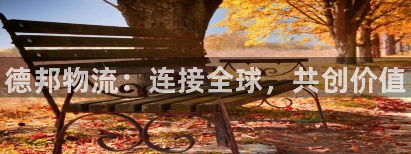 28圈.ccmapp：德邦物流：连接