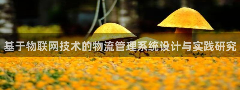 28圈p图上分下款通道：基于物联网技术的物流管理系统设计与实