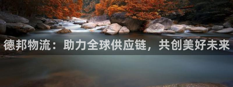 28圈cn：德邦物流：助力全球供应链